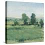 Spring Meadow II-Tim OToole-Stretched Canvas