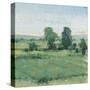 Spring Meadow II-Tim OToole-Stretched Canvas