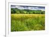 Spring Meadow In Pienza, Tuscany-George Oze-Framed Photographic Print