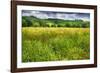 Spring Meadow In Pienza, Tuscany-George Oze-Framed Photographic Print