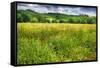 Spring Meadow In Pienza, Tuscany-George Oze-Framed Stretched Canvas