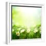 Spring Meadow with Daisies-Subbotina Anna-Framed Photographic Print