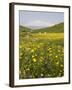 Spring Meadow with Snow Covered Mount Etna in Distance, Sicily, Italy, Europe-Martin Child-Framed Photographic Print