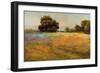 Spring Meadow-Alice Weil-Framed Premium Giclee Print