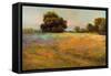 Spring Meadow-Alice Weil-Framed Stretched Canvas