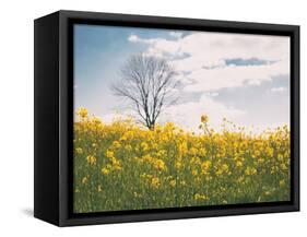 Spring Meadow-Aledanda-Framed Stretched Canvas