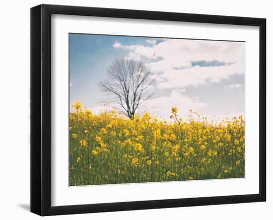 Spring Meadow-Aledanda-Framed Photographic Print