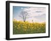 Spring Meadow-Aledanda-Framed Photographic Print