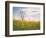 Spring Meadow-Aledanda-Framed Photographic Print