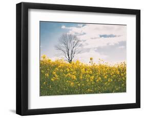 Spring Meadow-Aledanda-Framed Photographic Print