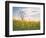 Spring Meadow-Aledanda-Framed Photographic Print