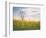 Spring Meadow-Aledanda-Framed Photographic Print