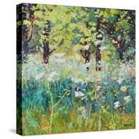 Spring Meadow-Sylvia Paul-Stretched Canvas