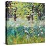 Spring Meadow-Sylvia Paul-Stretched Canvas