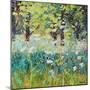 Spring Meadow-Sylvia Paul-Mounted Giclee Print