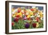 Spring Meadow-Incredi-Framed Giclee Print