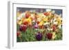 Spring Meadow-Incredi-Framed Giclee Print