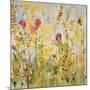 Spring Medley-Jill Martin-Mounted Art Print