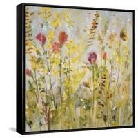 Spring Medley-Jill Martin-Framed Stretched Canvas