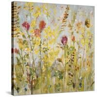 Spring Medley-Jill Martin-Stretched Canvas