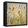 Spring Medley-Jill Martin-Framed Stretched Canvas