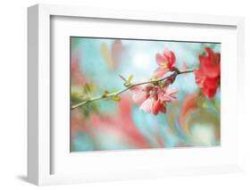 Spring Melody In Blue-Viviane Fedieu Daniel-Framed Photographic Print