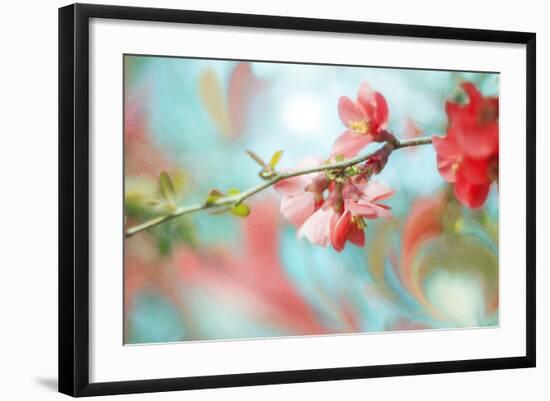 Spring Melody In Blue-Viviane Fedieu Daniel-Framed Photographic Print