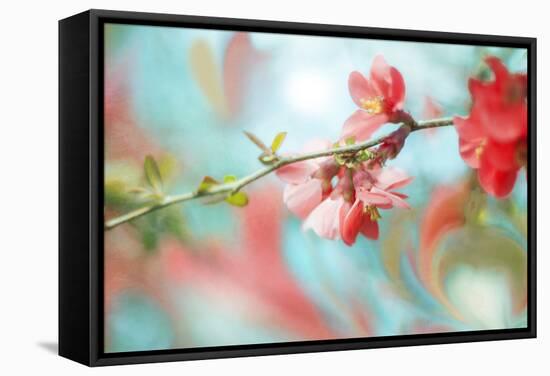 Spring Melody In Blue-Viviane Fedieu Daniel-Framed Stretched Canvas