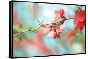 Spring Melody In Blue-Viviane Fedieu Daniel-Framed Stretched Canvas