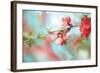 Spring Melody In Blue-Viviane Fedieu Daniel-Framed Photographic Print