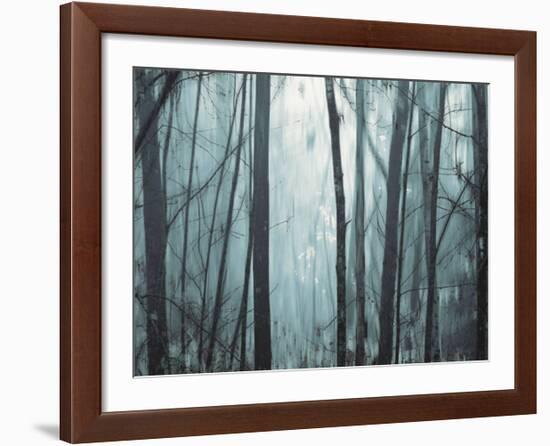 Spring Mist I-Marvin Pelkey-Framed Art Print