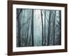Spring Mist I-Marvin Pelkey-Framed Art Print