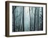 Spring Mist I-Marvin Pelkey-Framed Giclee Print