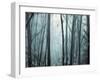 Spring Mist I-Marvin Pelkey-Framed Giclee Print