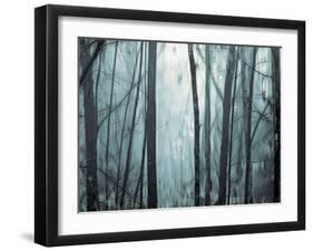 Spring Mist I-Marvin Pelkey-Framed Giclee Print