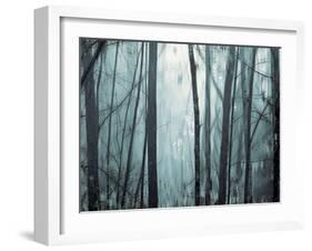 Spring Mist I-Marvin Pelkey-Framed Giclee Print