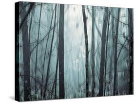 Spring Mist I-Marvin Pelkey-Stretched Canvas