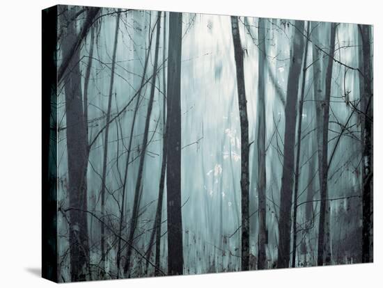 Spring Mist I-Marvin Pelkey-Stretched Canvas