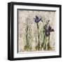 Spring Mist II-Carney-Framed Giclee Print