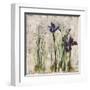 Spring Mist II-Carney-Framed Giclee Print