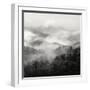 Spring Mist, Smoky Mountains-Nicholas Bell-Framed Photographic Print