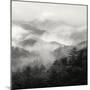 Spring Mist, Smoky Mountains-Nicholas Bell-Mounted Photographic Print