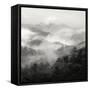 Spring Mist, Smoky Mountains-Nicholas Bell-Framed Stretched Canvas