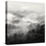 Spring Mist, Smoky Mountains-Nicholas Bell-Stretched Canvas