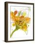 Spring Mix-Jan Weiss-Framed Art Print