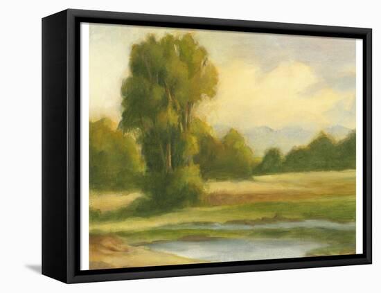 Spring Morning I-Ethan Harper-Framed Stretched Canvas