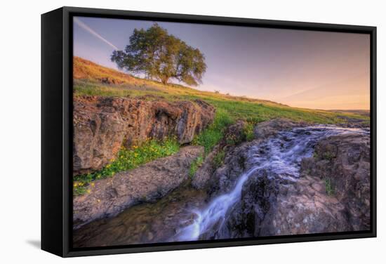 Spring Morning Stream at Table Mountain-Vincent James-Framed Stretched Canvas