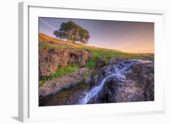 Spring Morning Stream at Table Mountain-Vincent James-Framed Photographic Print