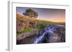 Spring Morning Stream at Table Mountain-Vincent James-Framed Photographic Print