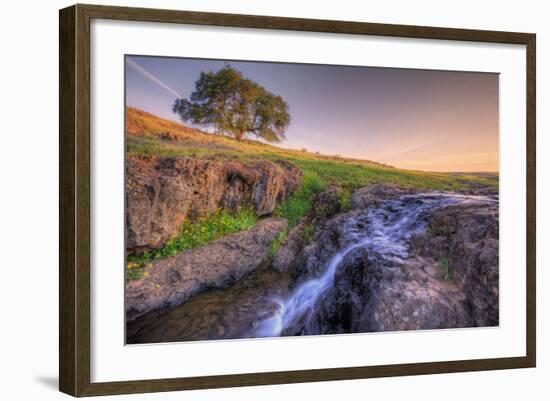 Spring Morning Stream at Table Mountain-Vincent James-Framed Photographic Print